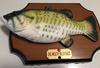 Big Mouth Billy Bass The Singing Sensation view 2